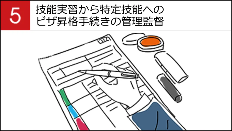技能実習から特定技能へのビザ昇格手続きの管理監督